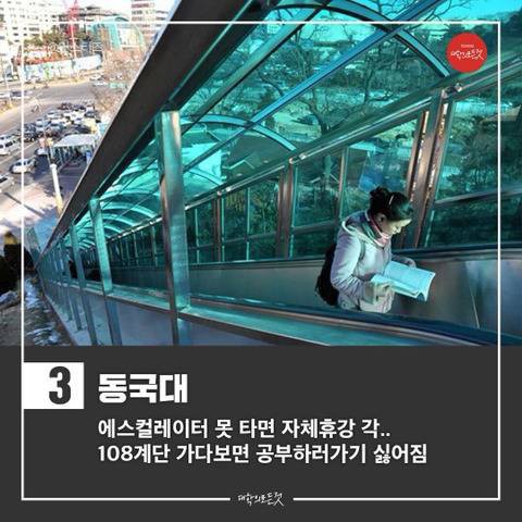 지옥의 오르막을 자랑하는 대학교들 | 인스티즈