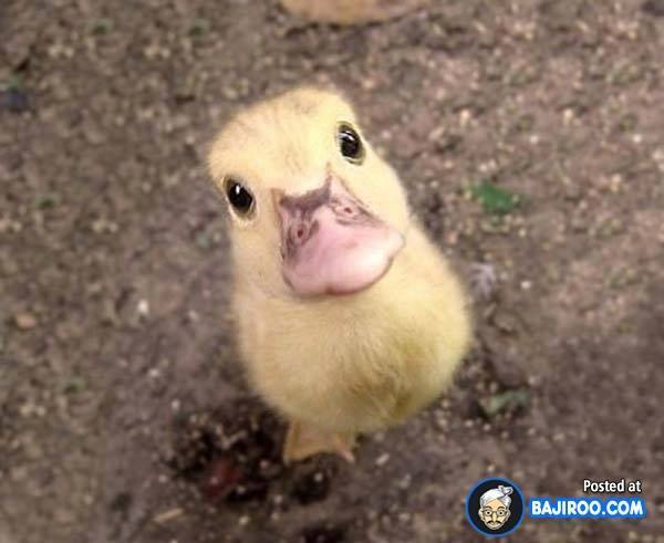 누구에게나 어린시절은 있다 | 인스티즈