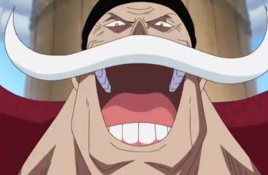 원피스 최대 논쟁거리 중 하나 | 인스티즈