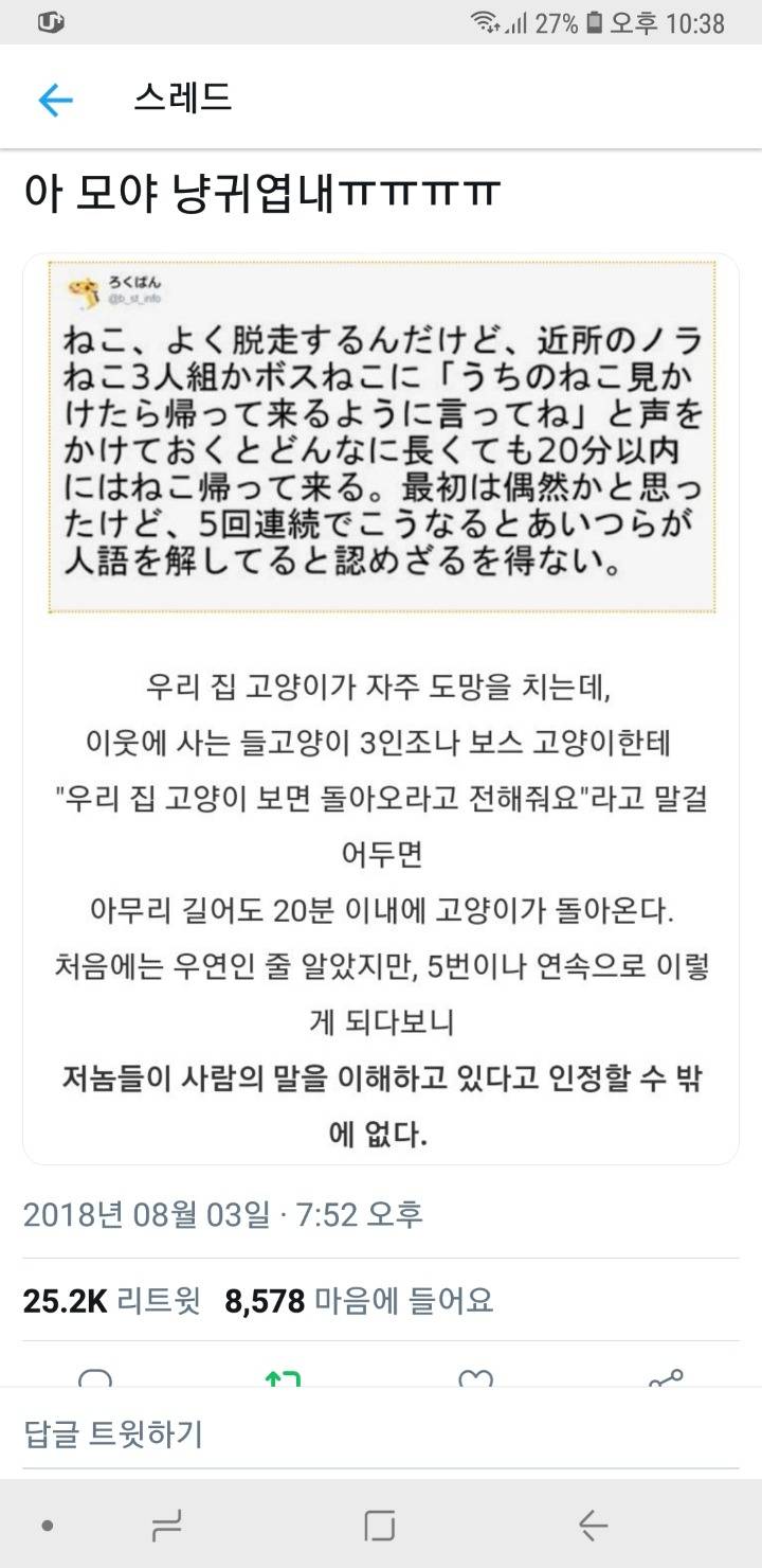 고양이 이웃이 부탁을 잘 들어주는 편.twt | 인스티즈