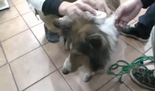 아프리카 tv의 순기능 | 인스티즈