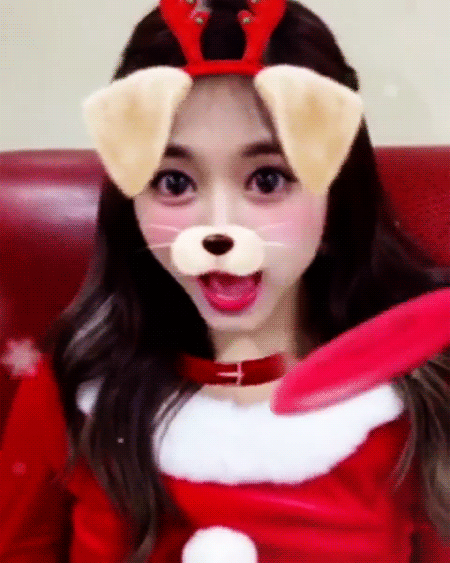 강아지같은 쯔위 | 인스티즈