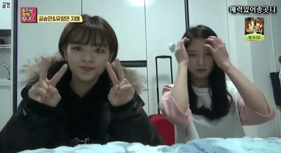 유자매 | 인스티즈