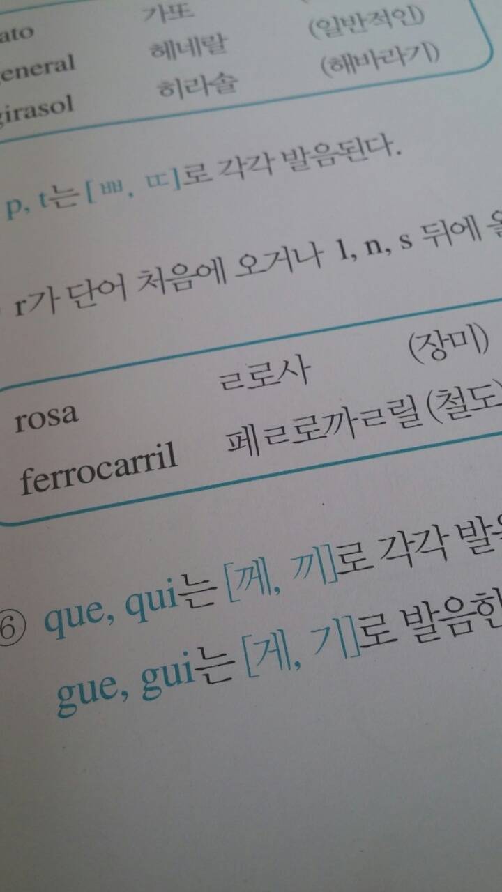 스페인어 배우는 사람들이 가장 처음 만나는 난관 | 인스티즈