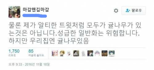 제주도니까 너네집에도 감귤나무키워? 에대한반박 | 인스티즈
