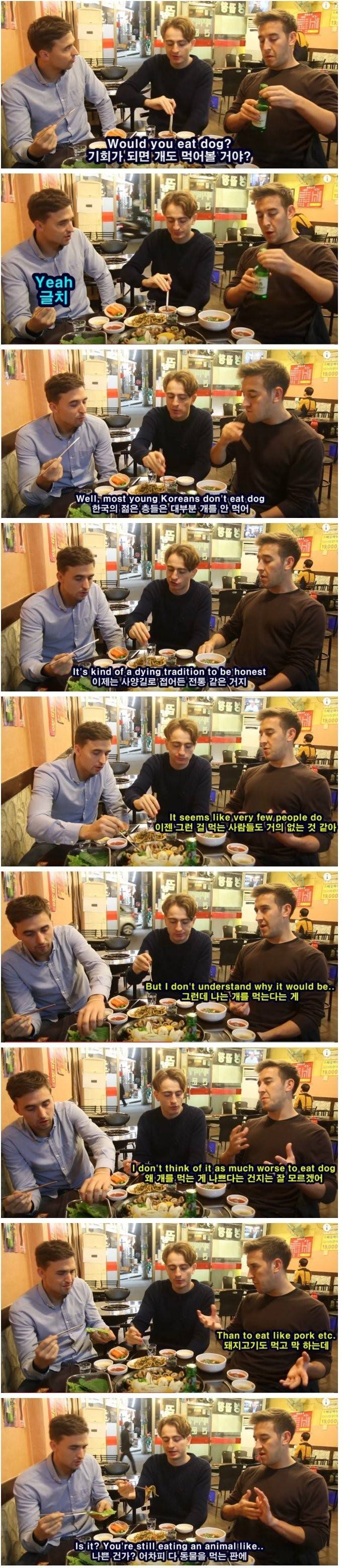 외국인이 보는 개고기 | 인스티즈