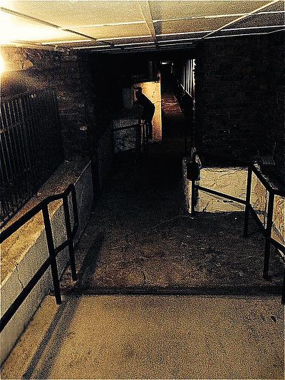 [Reddit] 감염된 마을 - 8,9 - | 인스티즈