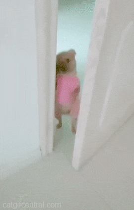 자기 나 씻고왔엉.. | 인스티즈