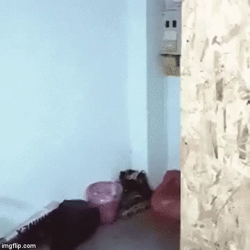 안경 낀 사람만 할 수 있는 짱멋.gif | 인스티즈