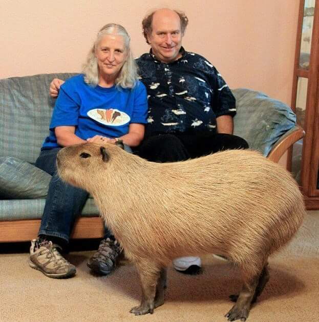 친화력 쩌는 동물.jpg | 인스티즈