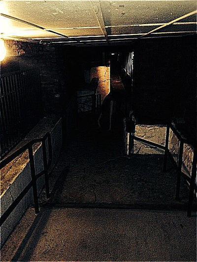 [Reddit] 감염된 마을 - 8,9 - | 인스티즈