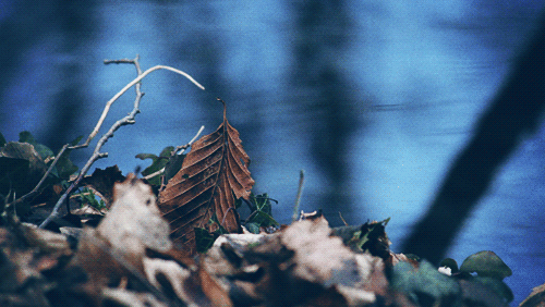  너 없는 세상 | 인스티즈