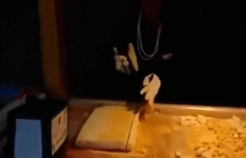 달인들.gif | 인스티즈