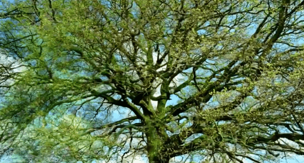 봄이 오면 볼 수 있는 모습 | 인스티즈