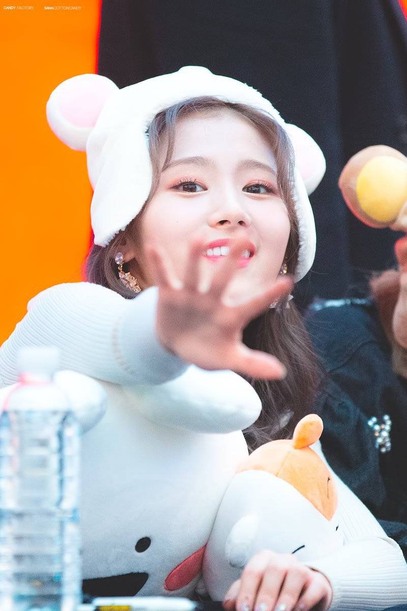 트와이스의 큐티갓 사나.jpg | 인스티즈