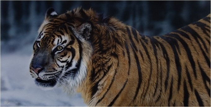 겁나게 노력해도 천재를 이기기 힘든 이유 | 인스티즈