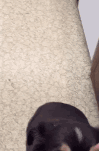 기다려~ 기다려.gif | 인스티즈