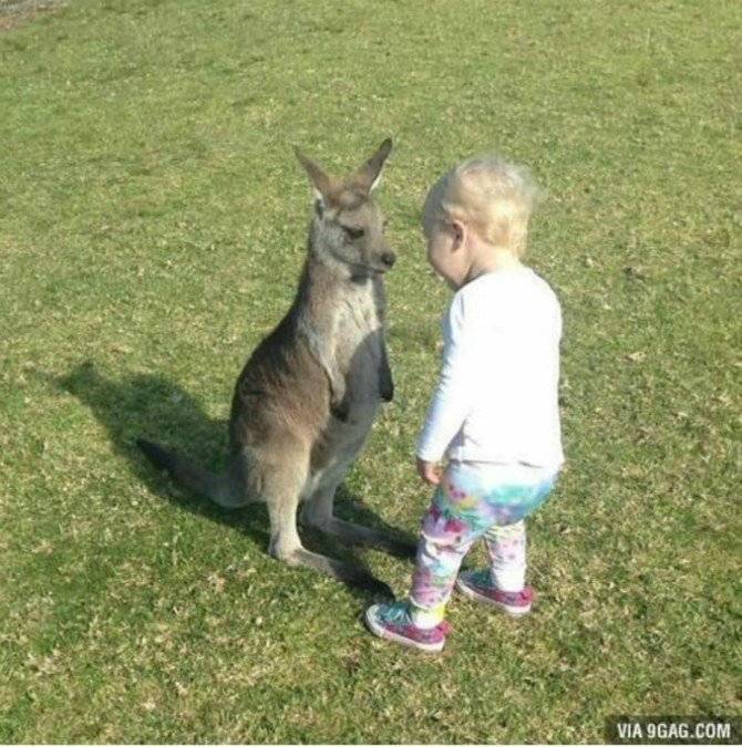 마! 니 자신있나?.jpg | 인스티즈