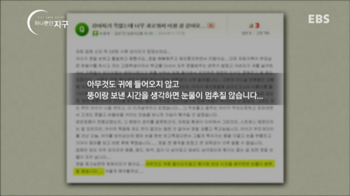 처음에 애완동물 만났을때 너무 좋고 이뻐서 생각못하는거.jpg | 인스티즈