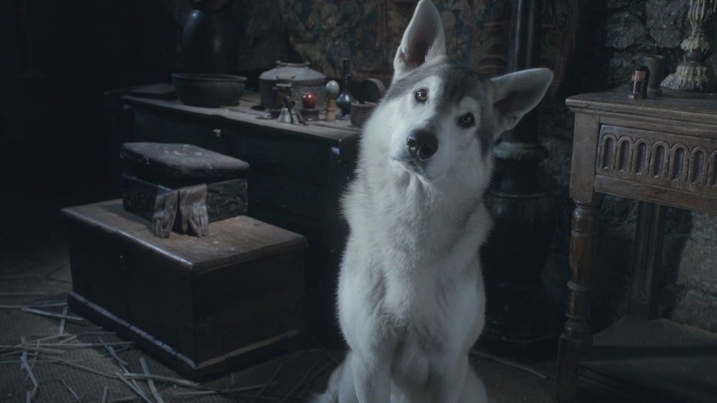 [왕좌의게임] 여러분이 다시보고싶은 죽은 케릭터는? | 인스티즈