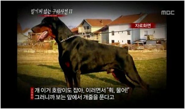 통신사 SK 안쓰는 이유 | 인스티즈