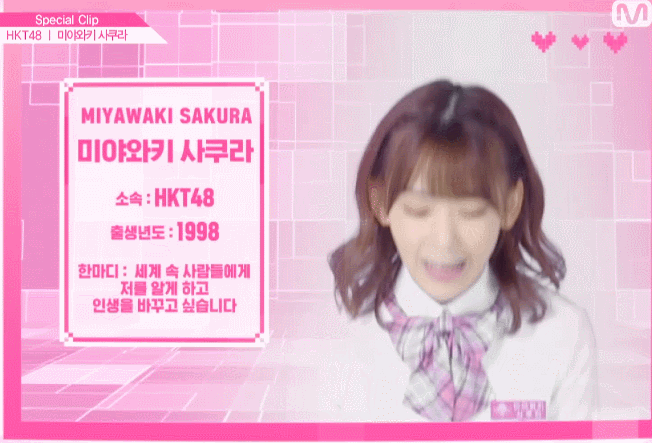 [48스페셜] 사쿠라 움짤.gif | 인스티즈
