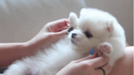 알못이 비꼬면 생기는 일 | 인스티즈