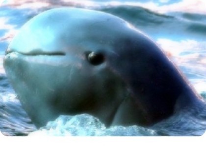 공감 100％ 도전 | 인스티즈