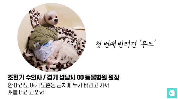 폭염 속 버려진 똘똘이가 모니로 개명한 사연 | 인스티즈