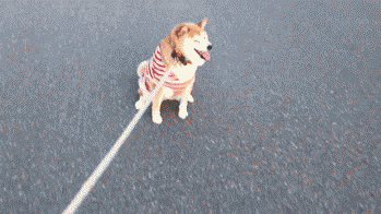 혼자 가라고 씨바.gif | 인스티즈