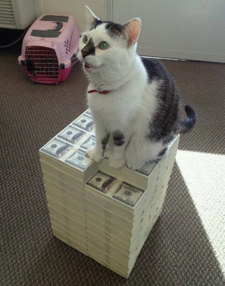 최애 vs 20억 | 인스티즈