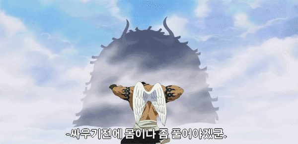 사실상 최강캐릭터.jpg (원피스) | 인스티즈