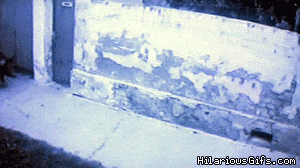 술은 아버지에게 배워야 하는 이유 | 인스티즈