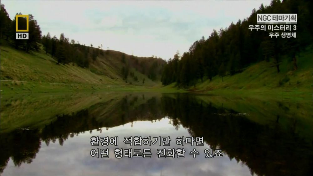 과학자들의 외계 생명체를 찾기위한 노력들.jpg | 인스티즈