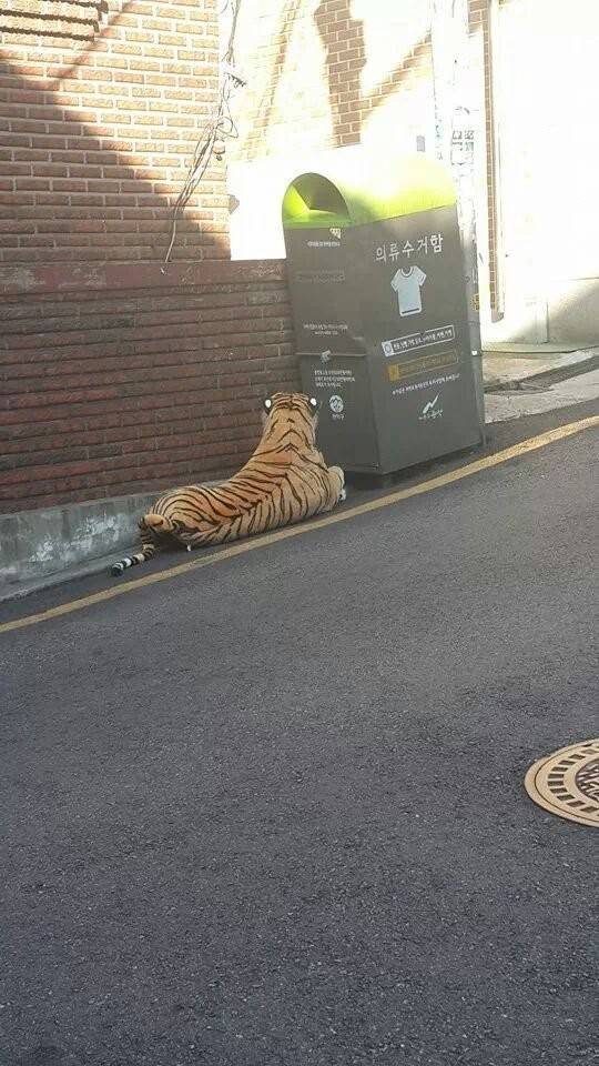 옷 버리러 가는데 놀람 | 인스티즈