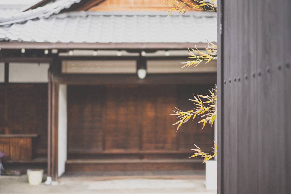 스냅사진 위주의 유치진지한 여행기 - 오사카&교토 (3) | 인스티즈