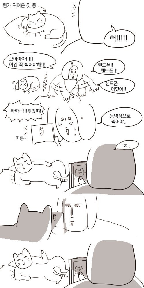 고양이 집사 공감 | 인스티즈