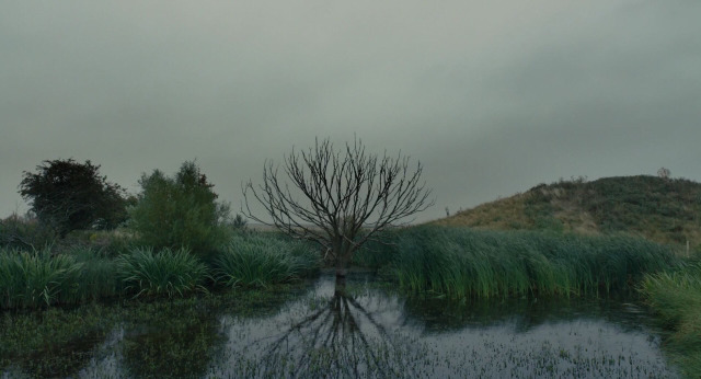 The Danish Girl ,대니쉬 걸 (2015) | 인스티즈