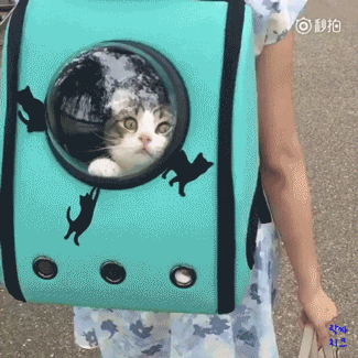 시방 여기가 어디여?.gif | 인스티즈