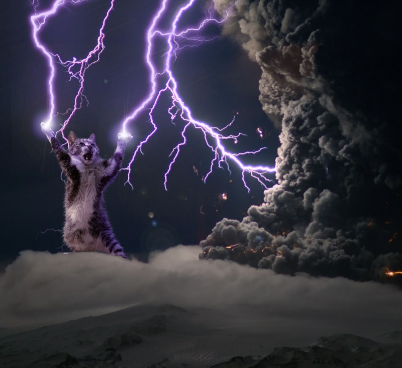 문화의 전파 jpg | 인스티즈