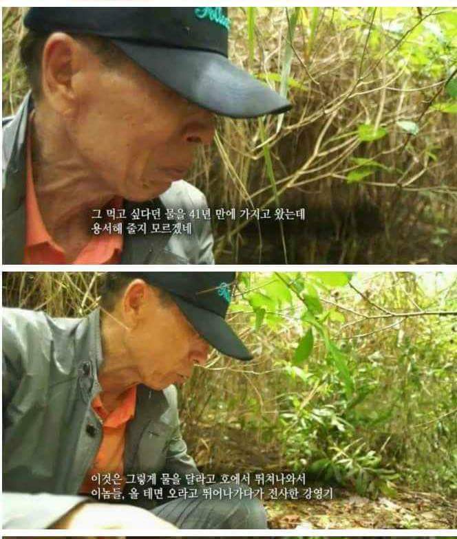 40년만에 주는 물 | 인스티즈