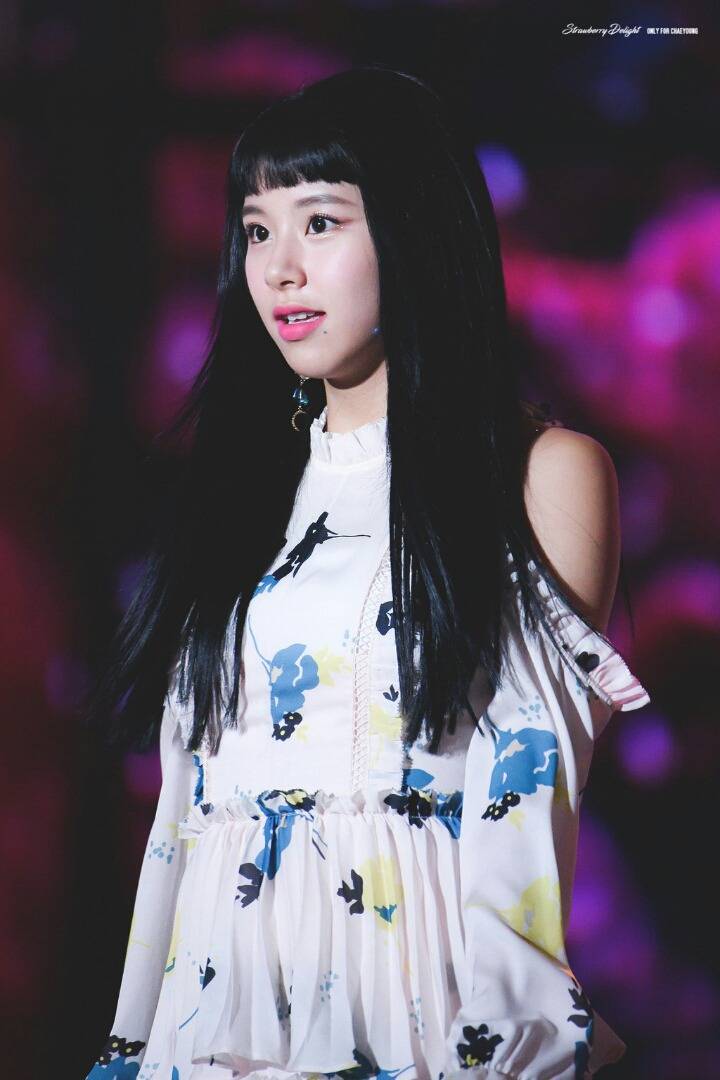 트와이스 손채영 | 인스티즈