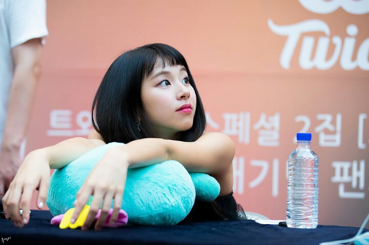 트와이스 손채영 | 인스티즈