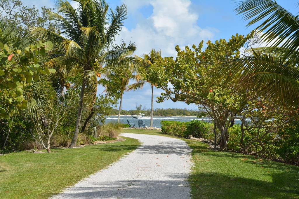 플로리다 분위기.jpg | 인스티즈