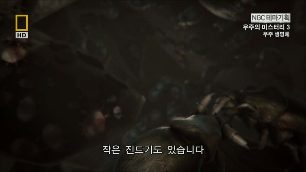 과학자들의 외계 생명체를 찾기위한 노력들.jpg | 인스티즈