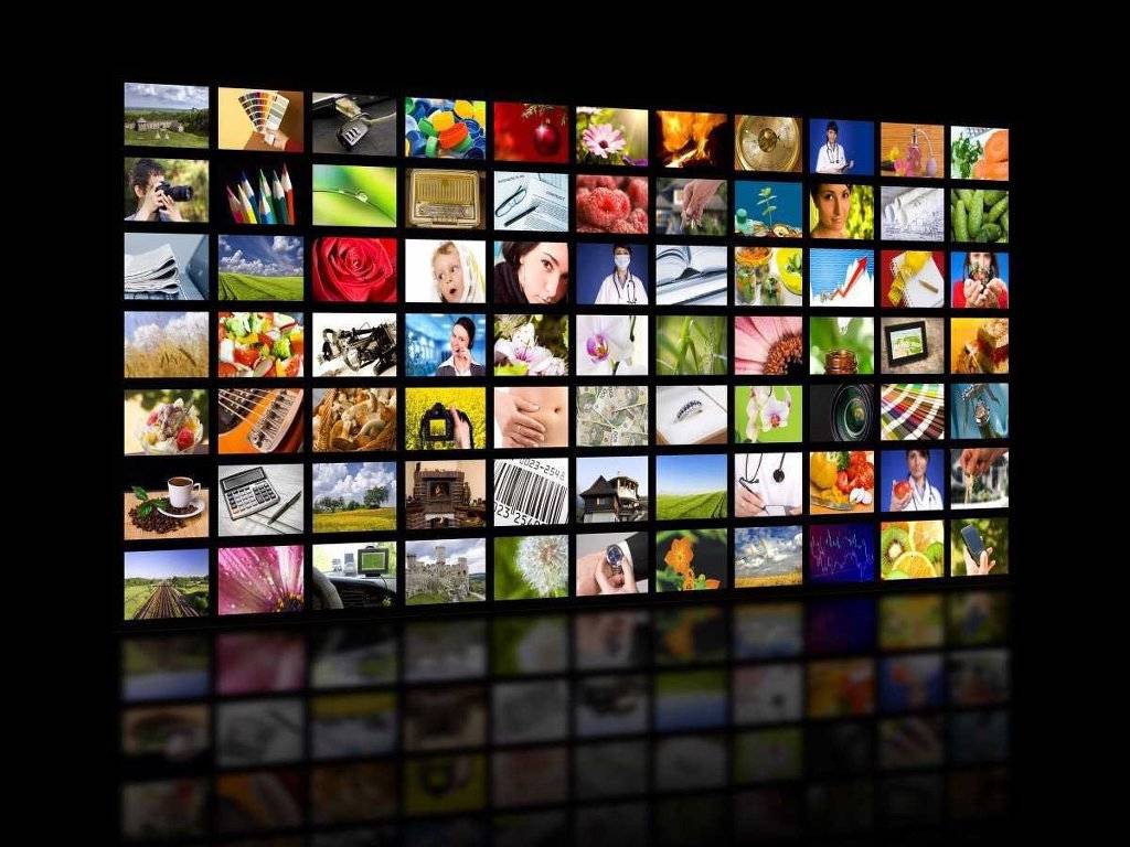 ㄹ혜 청와대 밖으로 나오게 하는법 2가지 | 인스티즈