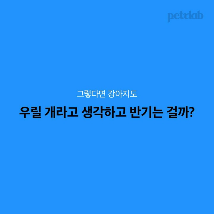  강아지는 왜 이렇게 나를 반길까?.jpgif | 인스티즈