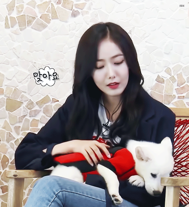 [여자친구] 통장이 텅장이 되어가고 있어서 신비 | 인스티즈