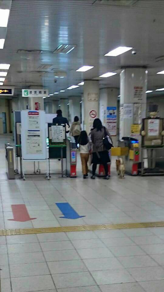 와 시바 무임승차ㄷㄷ | 인스티즈