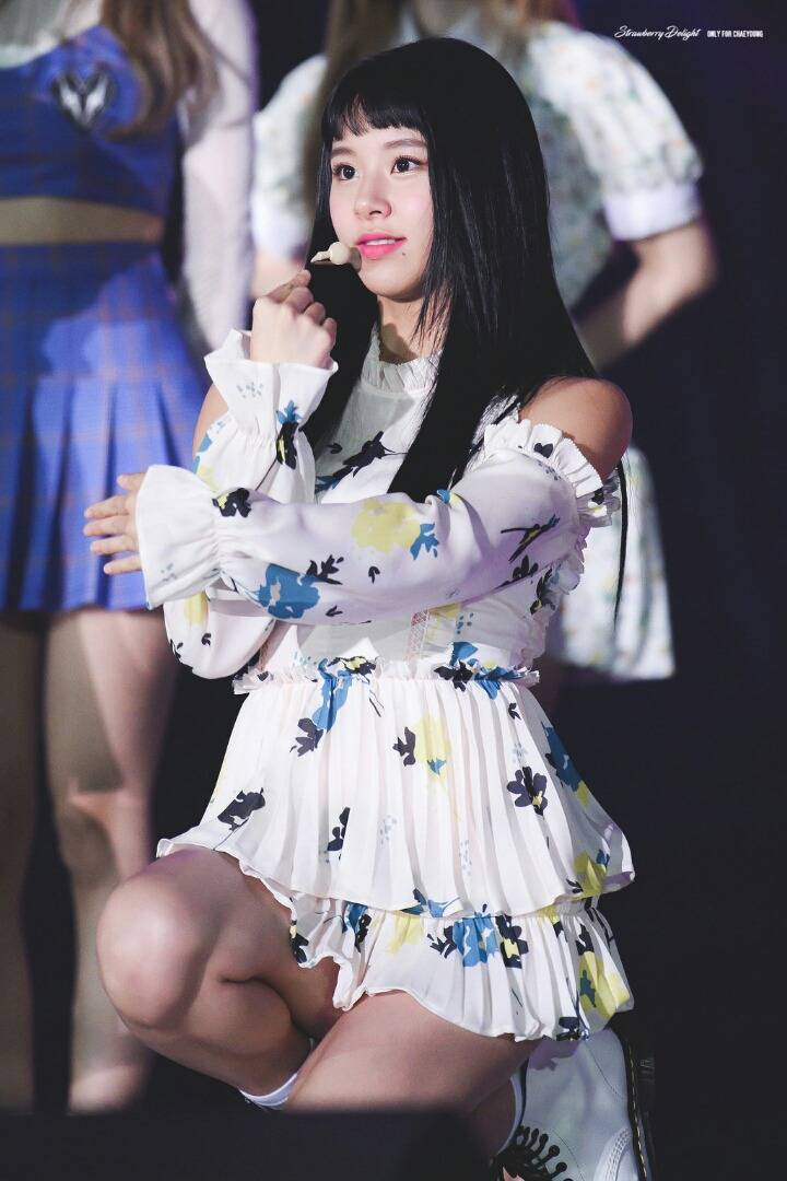 트와이스 손채영 | 인스티즈